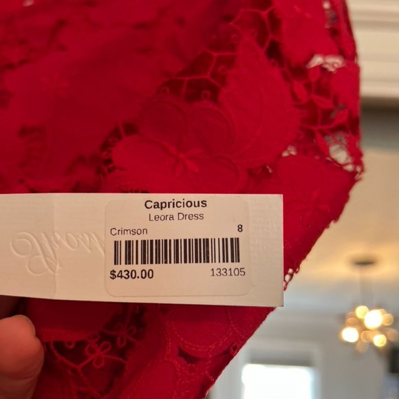 SHOSHANNA Leora Lace Mini Dress - Picture 4 of 9